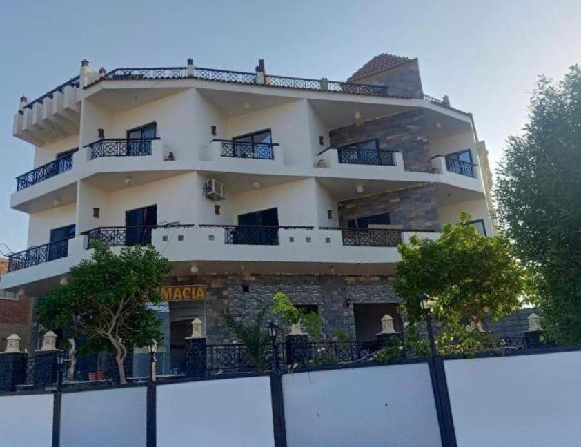 فندق Sea View House مرسى علم المظهر الخارجي الصورة